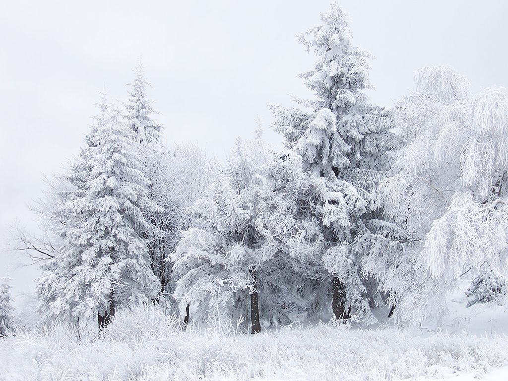 Winter_Snow_Scene_at_Shipka_Pass.jpeg